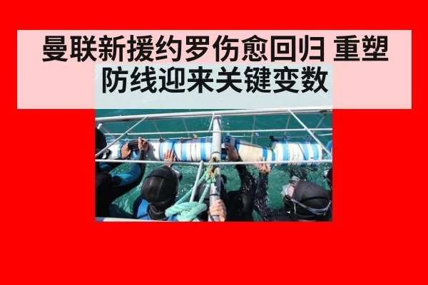 曼联新援约罗伤愈回归 重塑防线迎来关键变数